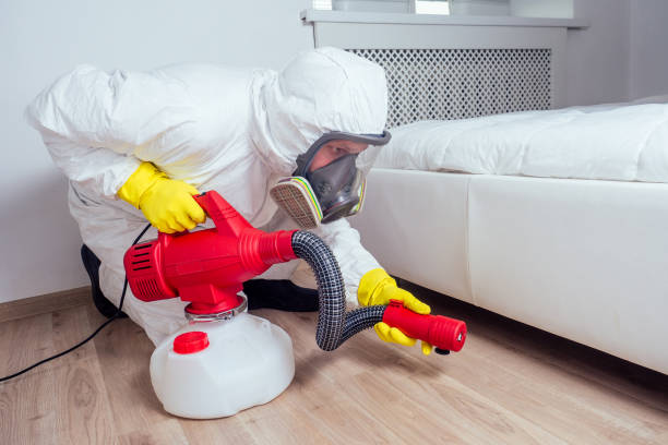 Best Affordable Pest Control Services  in Kula, HI